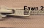 Fawn 298