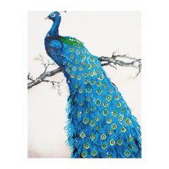 **-Diamond Dotz Blue Peacock 60 X 84cm (23.6 X 33.1in-** ##-Diamond Dotz DD13-012-##