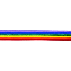 **-Ribbon Rainbow 25mmx20m-** ##-Berisfords 801274-##