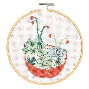 **-Ind Succulents Ccs Kit 15cm Round Pk3-** ##-Dmc BK1834L-##