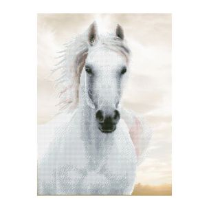 **-Diamond Dotz Crystal Art Kit-** Imperial Stallion, 48 x 65cm (18.9 x 25.6in) ##-Diamond Dotz DD10-026-##