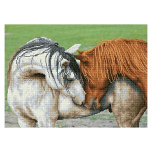 **-Diamond Dotz Crystal Art Kit-** Courtship, 45 x 62cm ##-Diamond Dotz DD12-065-##