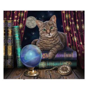 **-Craft Buddy Crystal Art Kit Fortune Teller 40x50cm-** ##-Craft Buddy 020952-FORTUNE-TELLER-##