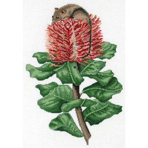 **-Hw Honey Possum & Scarlet Bank-** ##-Dmc 577101-##