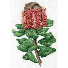 **-Hw Honey Possum & Scarlet Bank-** ##-Dmc 577101-##